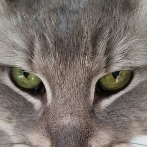 Meet your Posher, Jill